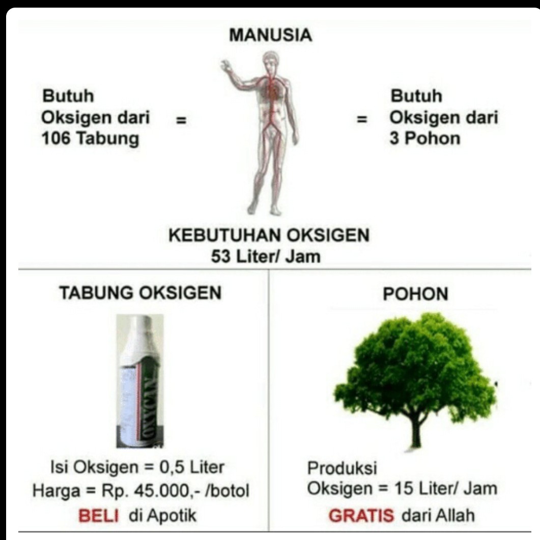 Manusia, Pohon dan Oksigen